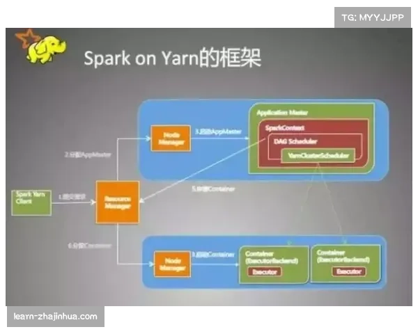 MLB球探系统与数据分析 现代球员评估体系演变